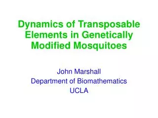 Dynamics of Transposable Elements in Genetically Modified Mosquitoes