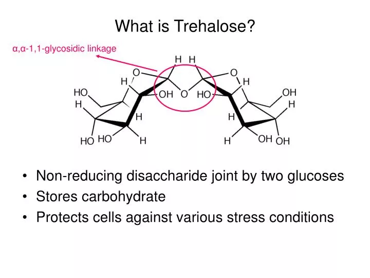 what is trehalose