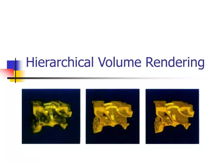hierarchical volume rendering