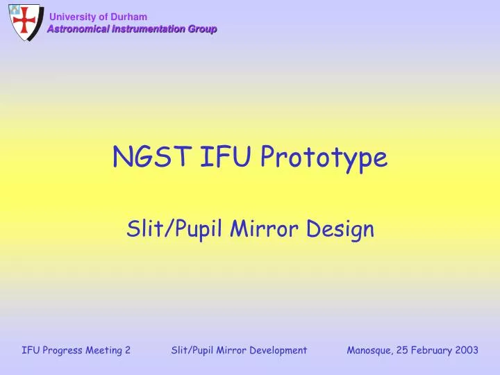 ngst ifu prototype