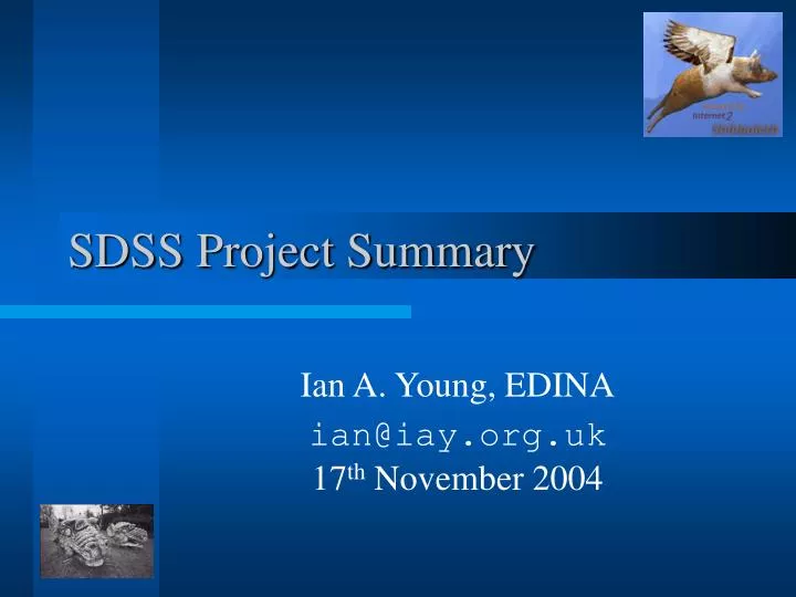 sdss project summary