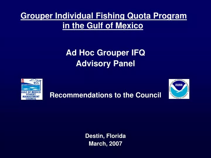 grouper individual fishing quota program in the gulf of mexico