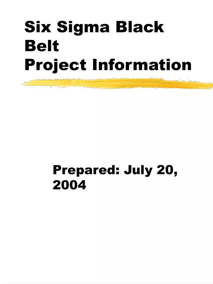 six sigma black belt project information