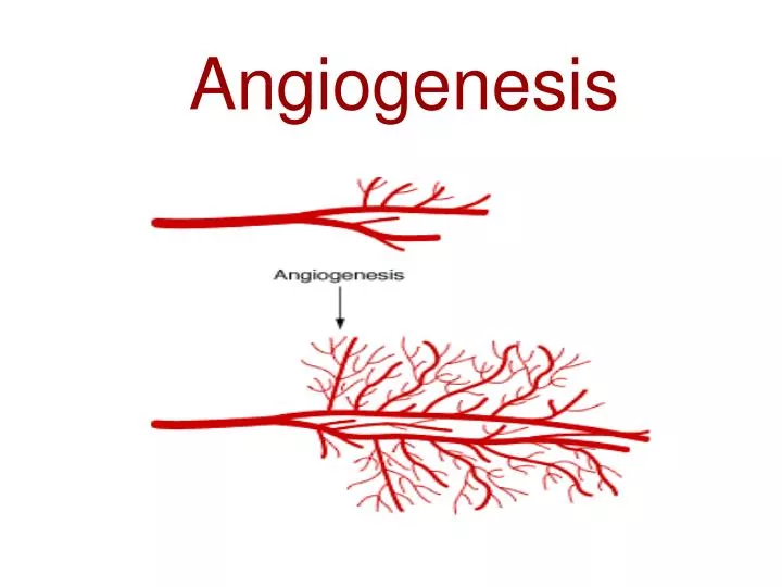 angiogenesis