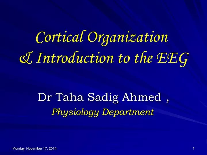 cortical organization introduction to the eeg