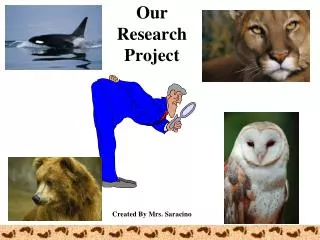 Our Research Project