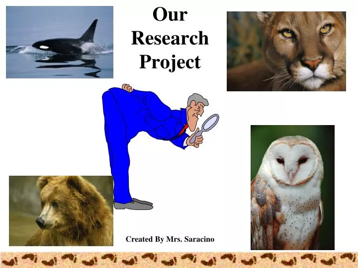 our research project