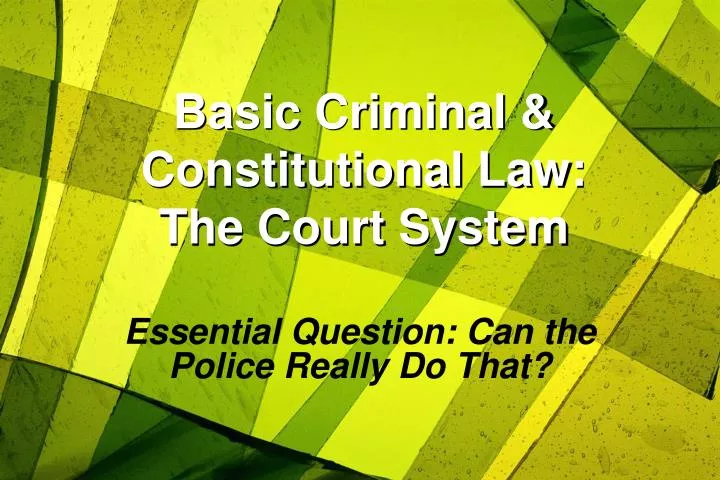 basic criminal constitutional law the court system