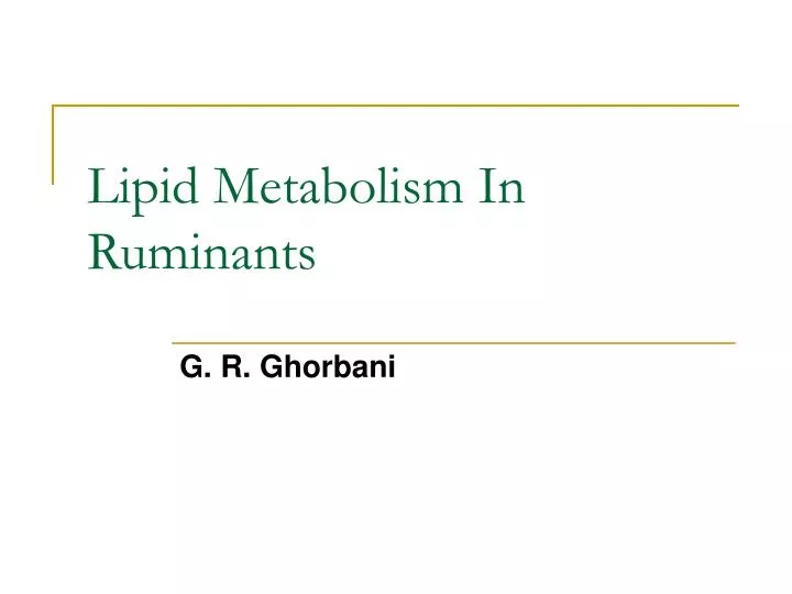 lipid metabolism in ruminants