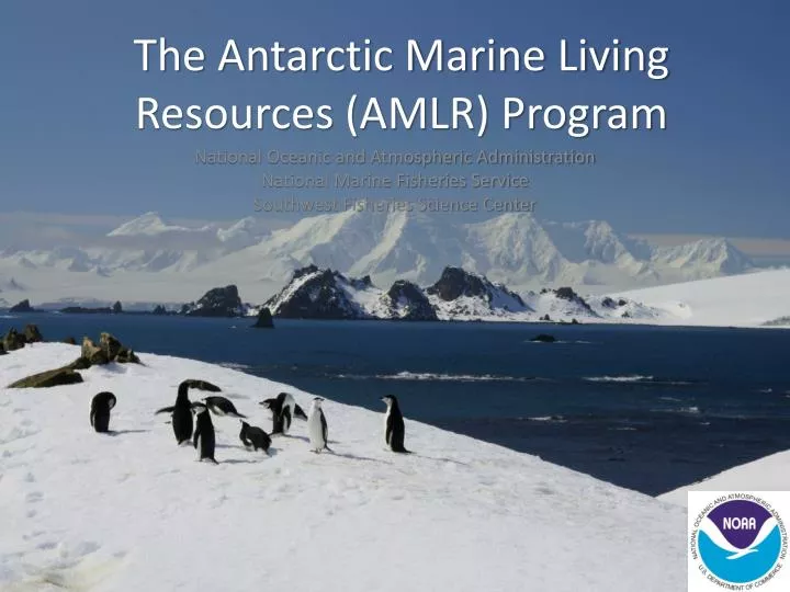 the antarctic marine living resources amlr program