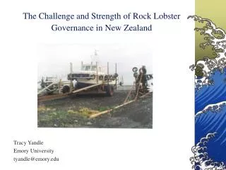 The Challenge and Strength of Rock Lobster Governance in New Zealand