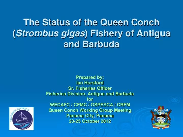 the status of the queen conch strombus gigas fishery of antigua and barbuda