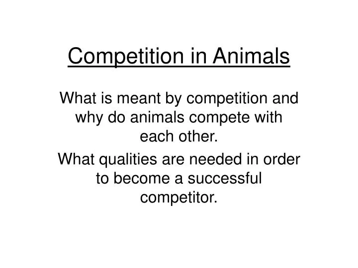 competition in animals