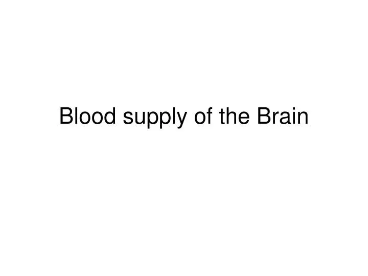 blood supply of the brain
