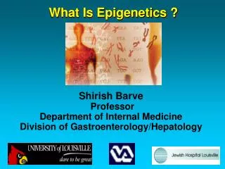 What Is Epigenetics ?