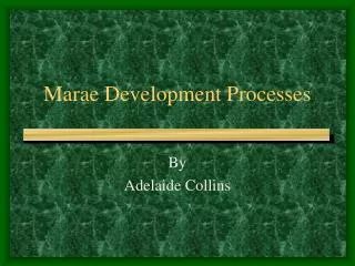Marae Development Processes