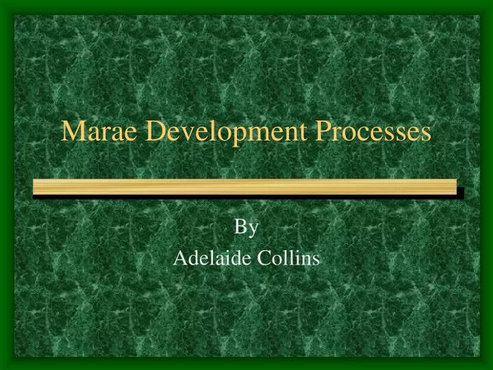 marae development processes