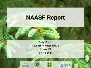 NAASF Report