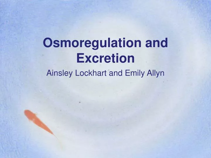 osmoregulation and excretion