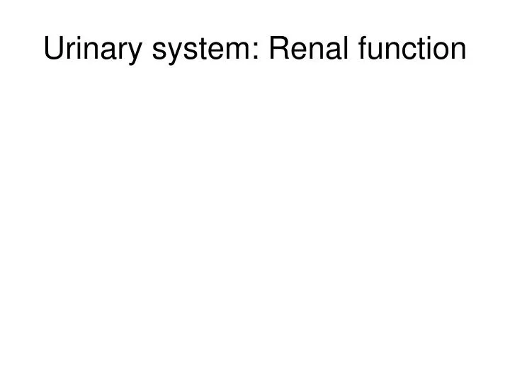 urinary system renal function
