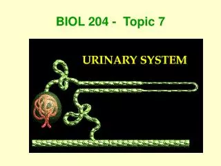 biol 204 topic 7