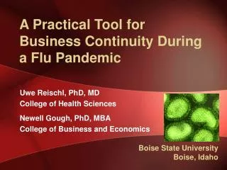 A Practical Tool for Business Continuity During a Flu Pandemic