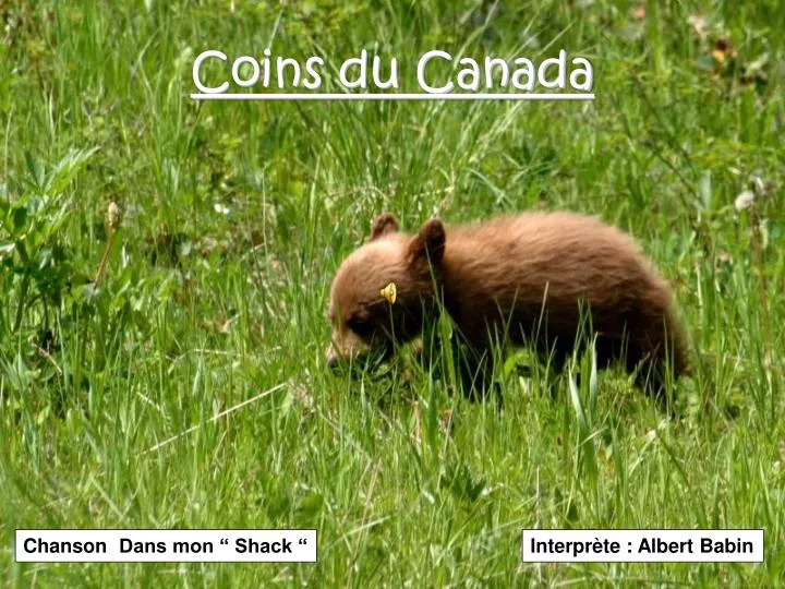 coins du canada