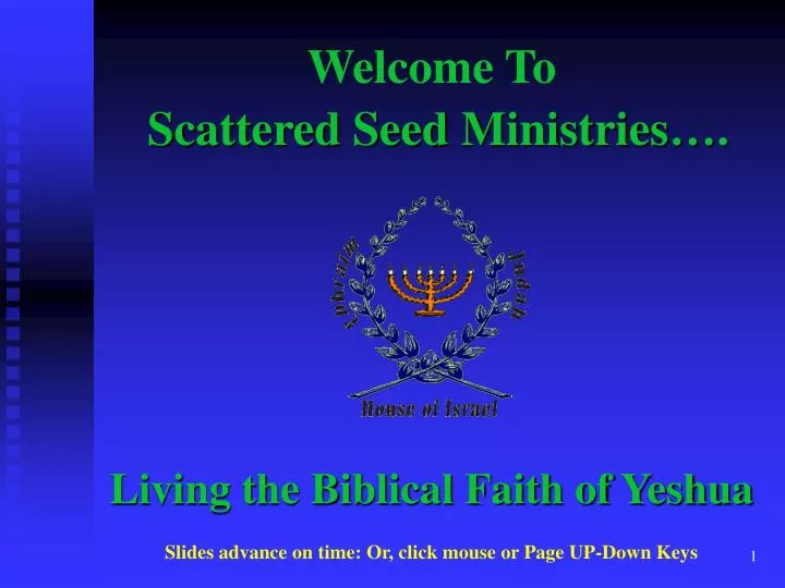 scattered seed ministries