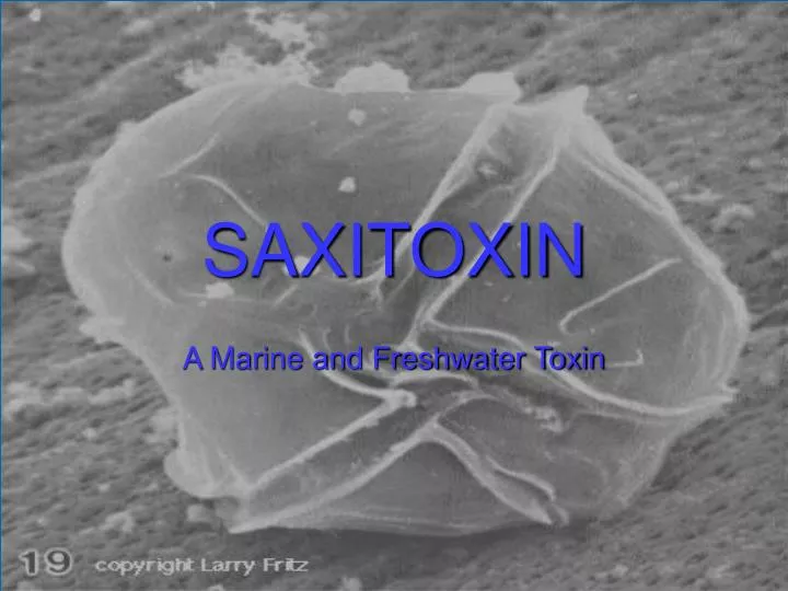 saxitoxin