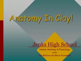 Anatomy In Clay!