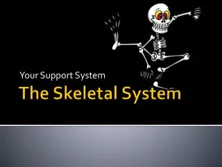 The Skeletal System