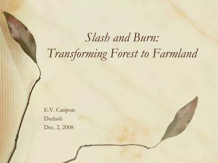 slash and burn transforming forest to farmland