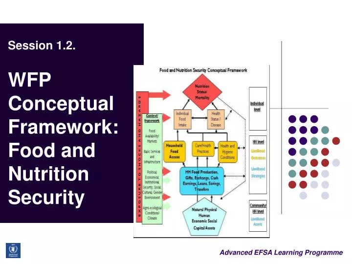 session 1 2 wfp conceptual framework food and nutrition security