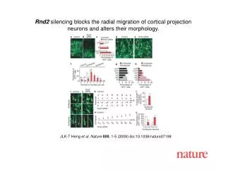 JLK-T Heng et al. Nature 000 , 1-5 (2008) doi:10.1038/nature07198