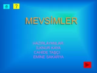 mevs mler