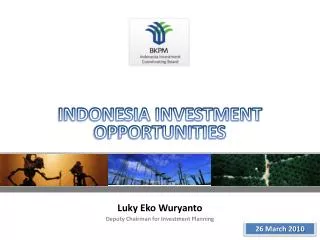 INDONESIA INVESTMENT OPPORTUNITIES