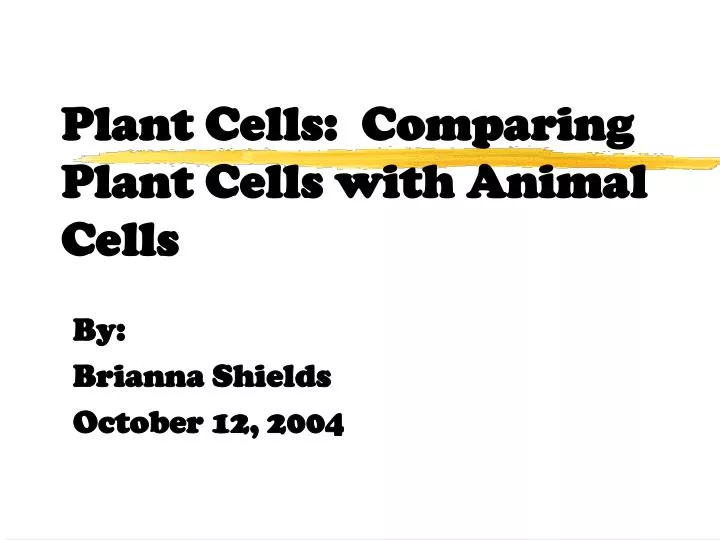 plant cells comparing plant cells with animal cells