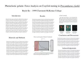 Photoelastic gelatin: Force Analysis on Crayfish turning in Procambarus clarkii