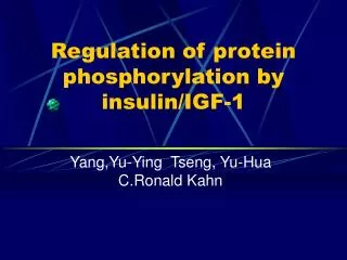 Regulation of protein phosphorylation by insulin/IGF-1