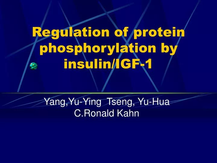 regulation of protein phosphorylation by insulin igf 1