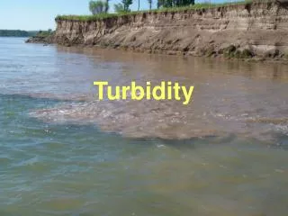 Turbidity