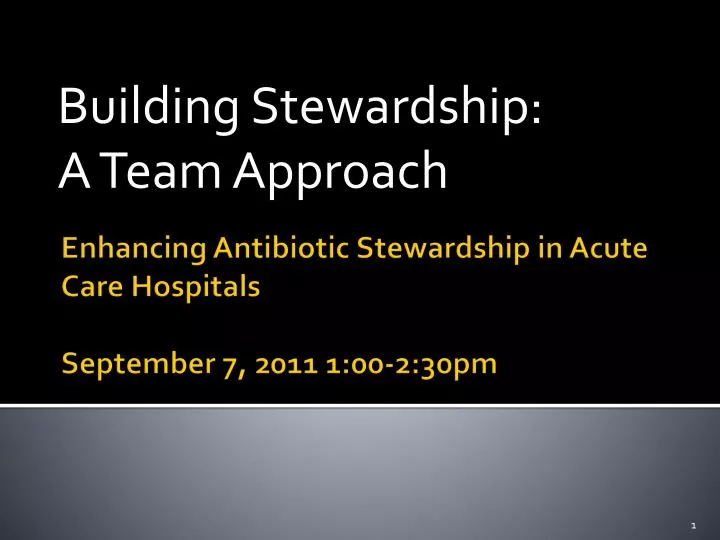 building stewardship a team approach