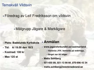 temakv ll vildsvin