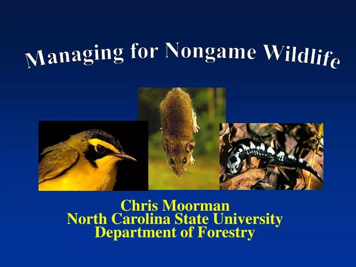 chris moorman north carolina state university department of forestry