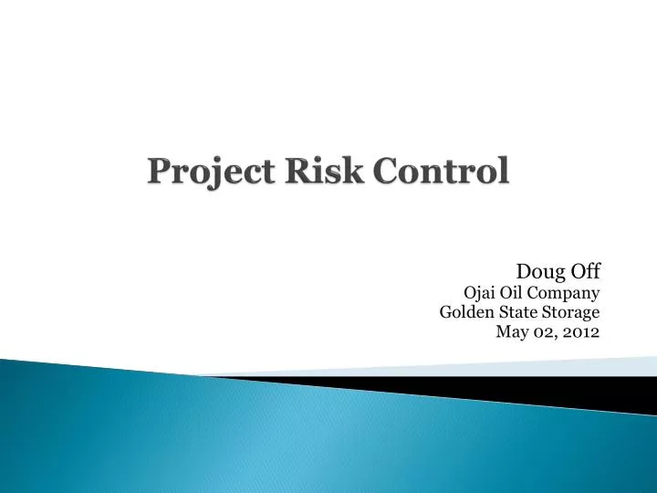 project risk control