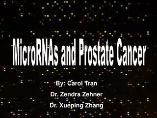 MicroRNAs and Prostate Cancer