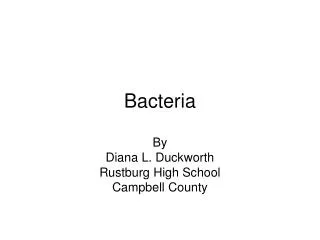 Bacteria