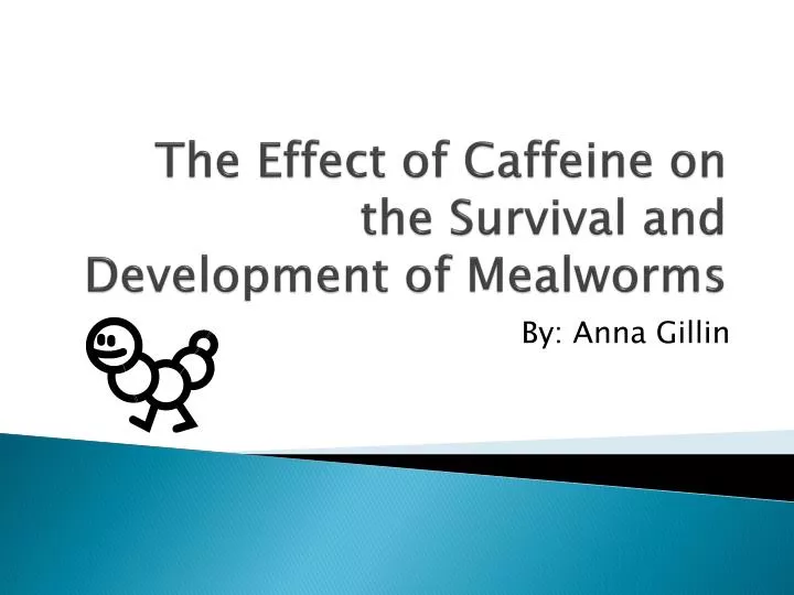 the effect of caffeine on the survival and development of mealworms