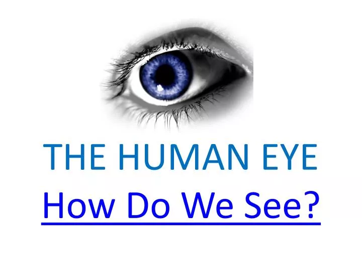 the human eye how do we see