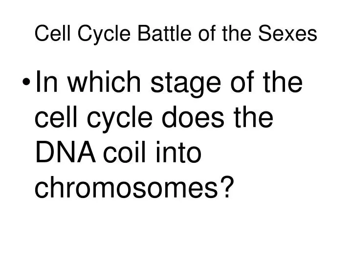 cell cycle battle of the sexes